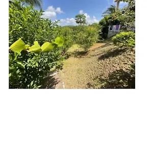  Appartement Lutecia Martinique